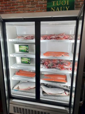 TỦ MÁT CÁ HỒI ( Đông mềm - Thanh Lý )